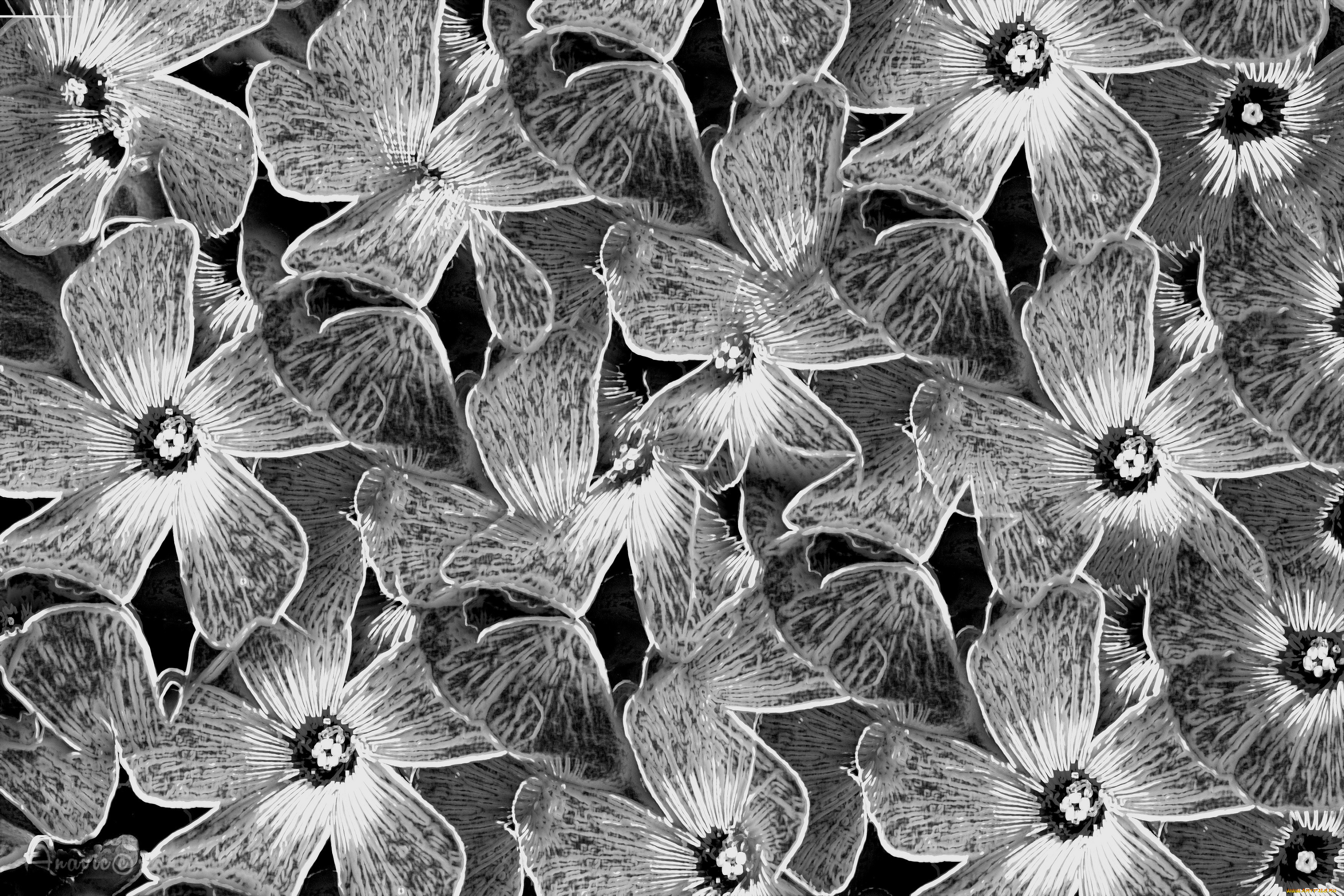 ������, ������������ ������, �����